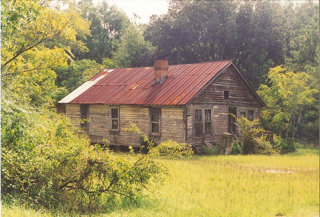 Weathered box shotgun, Midway Fla (9-1998) by Ken Badgley