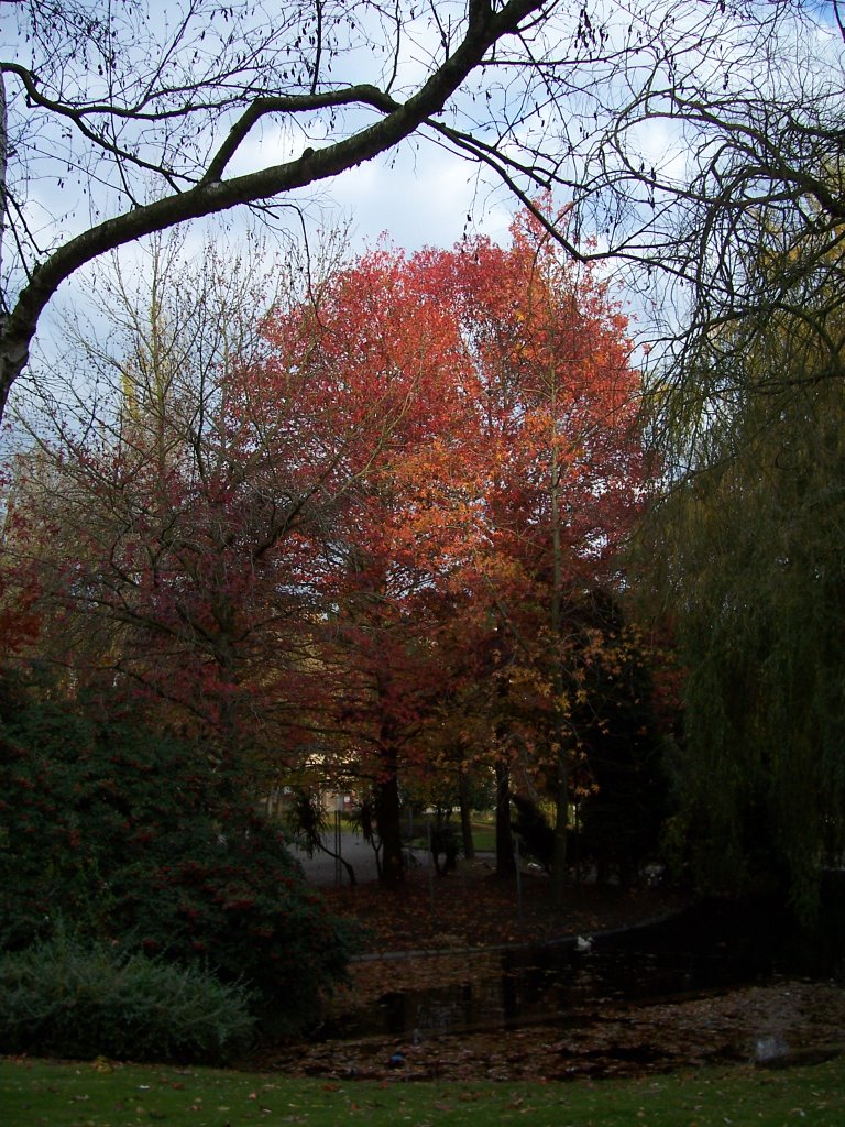 Otoño en el Parque de La Magdalena. AVILES. by Fernando Fernandez Justiniano