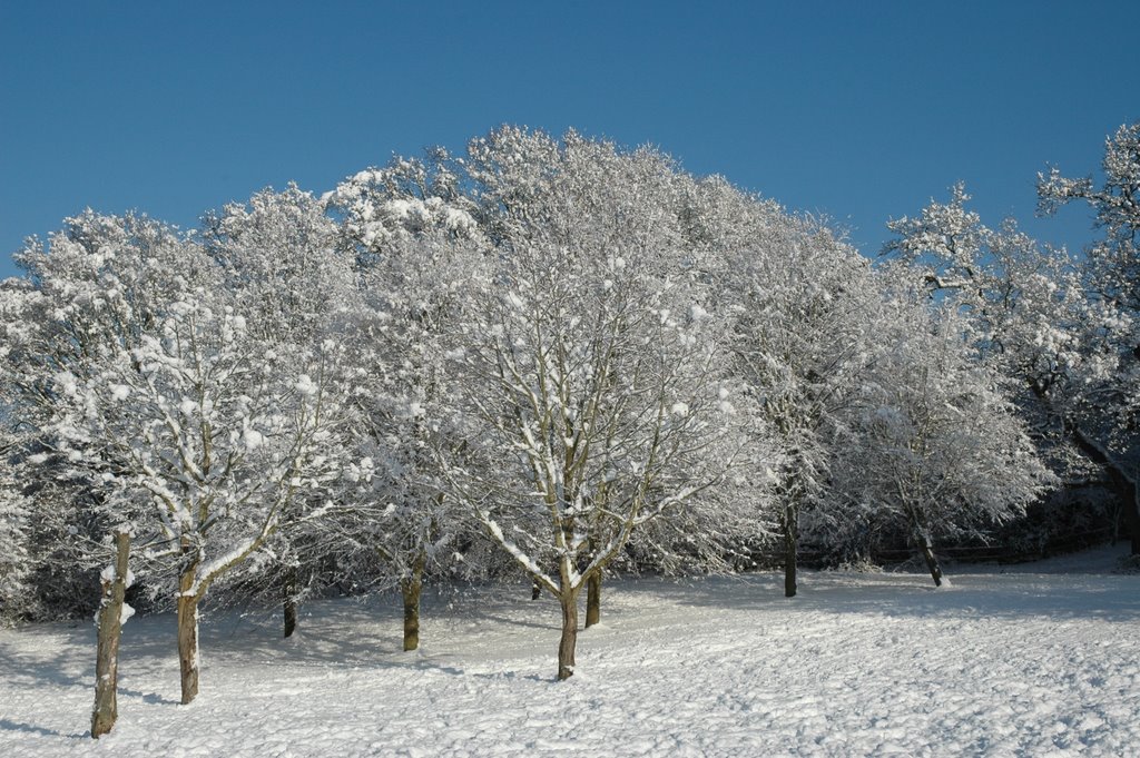 A Winters Day by John  Stillman