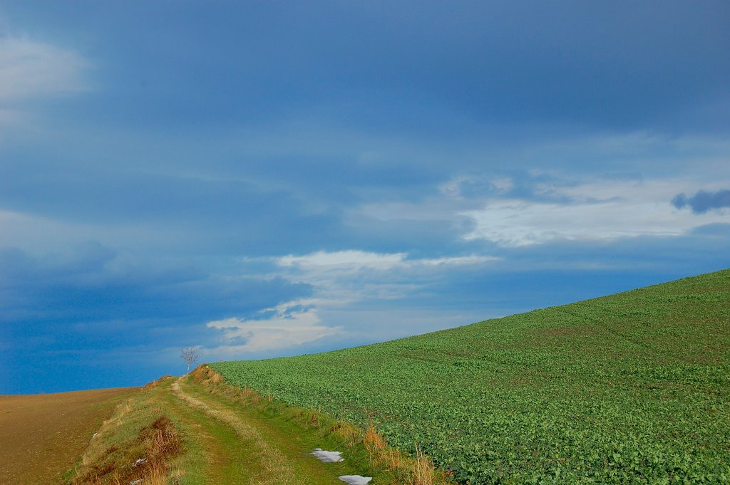 Chemin by Les Argonautes