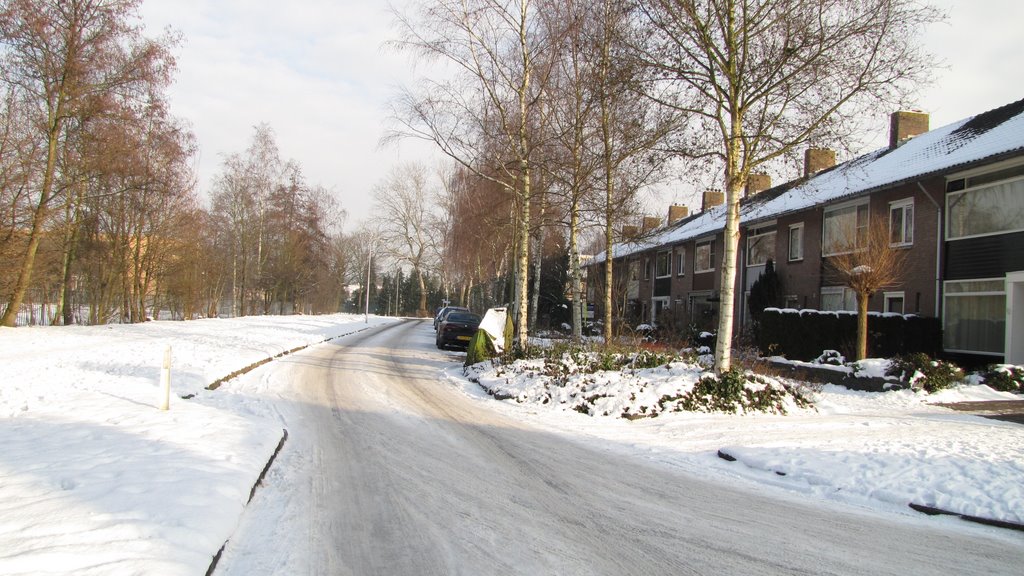 Prins Bernhardstraat by Symen Postema