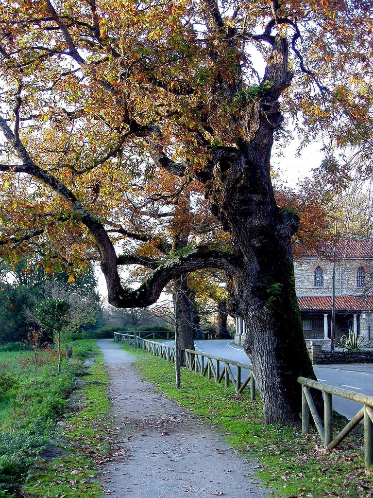 Deva, Gijón, Asturias by Antonio Alba