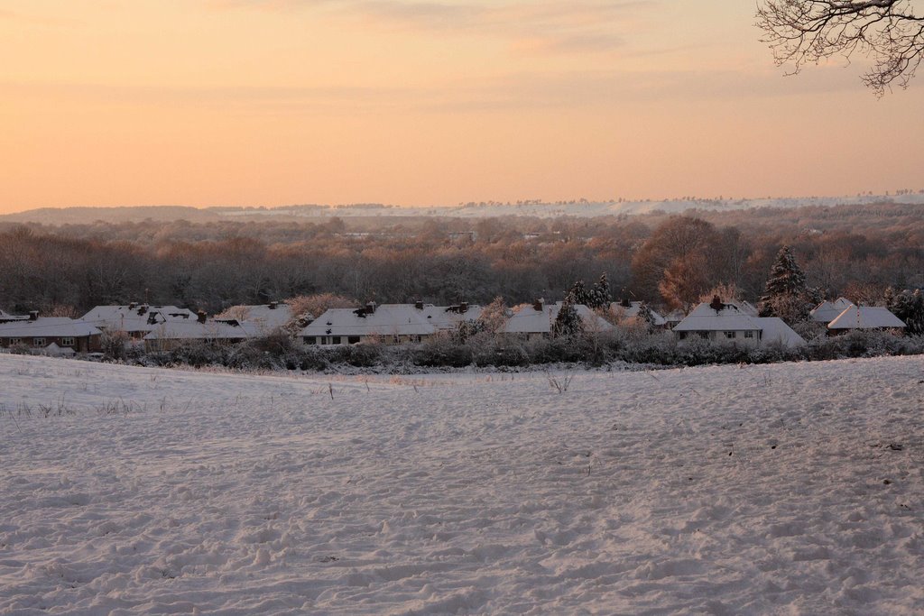 Snow covered Surrey by ian.r