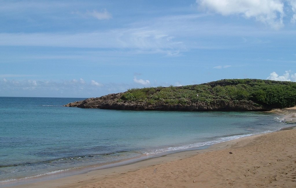 LAS PALMAS "PEÑA DEL OLIVO" /MANATI PR./AGOSTO 2006 by JOEL HERNANDEZ