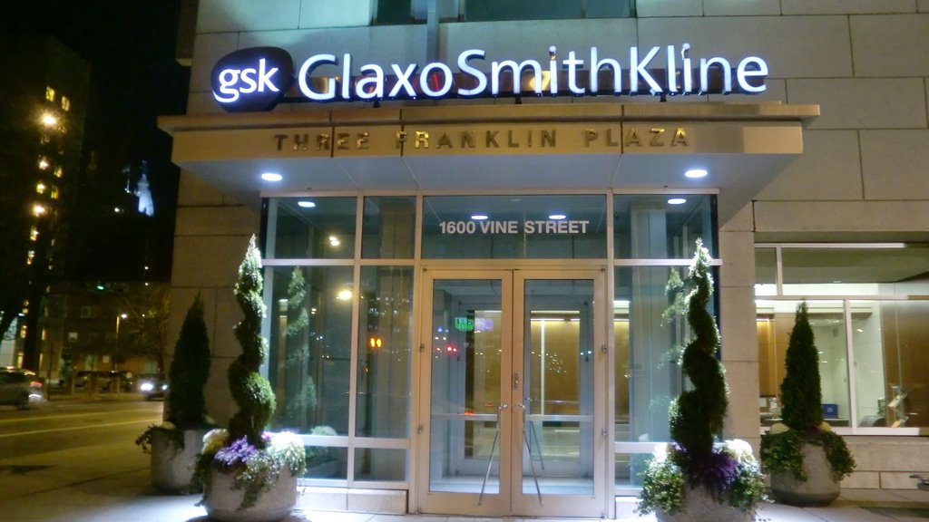 GSK by Andy Dinh