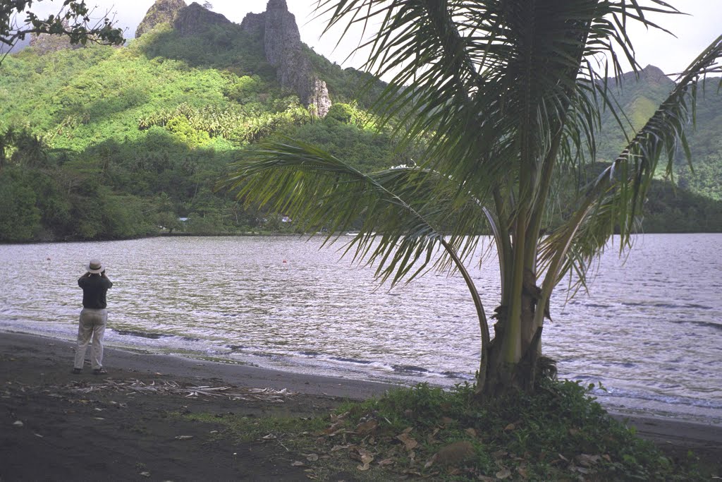 Cook Bay Moorea by tower10