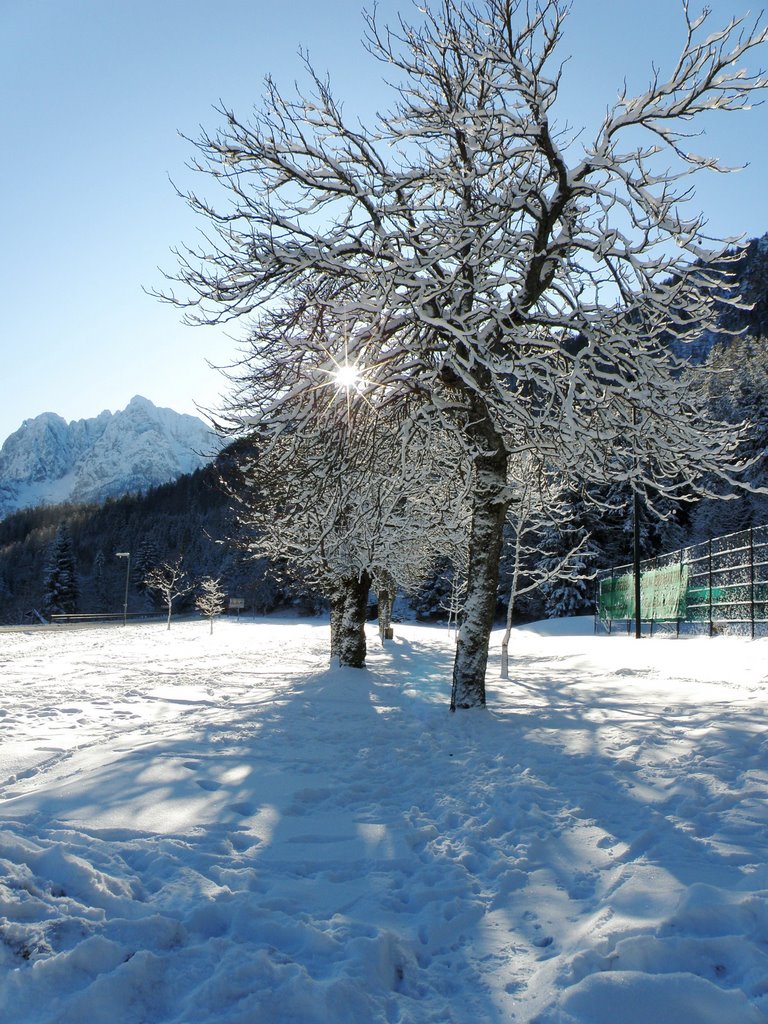 Pravljična Kranjska gora by Darja Brus