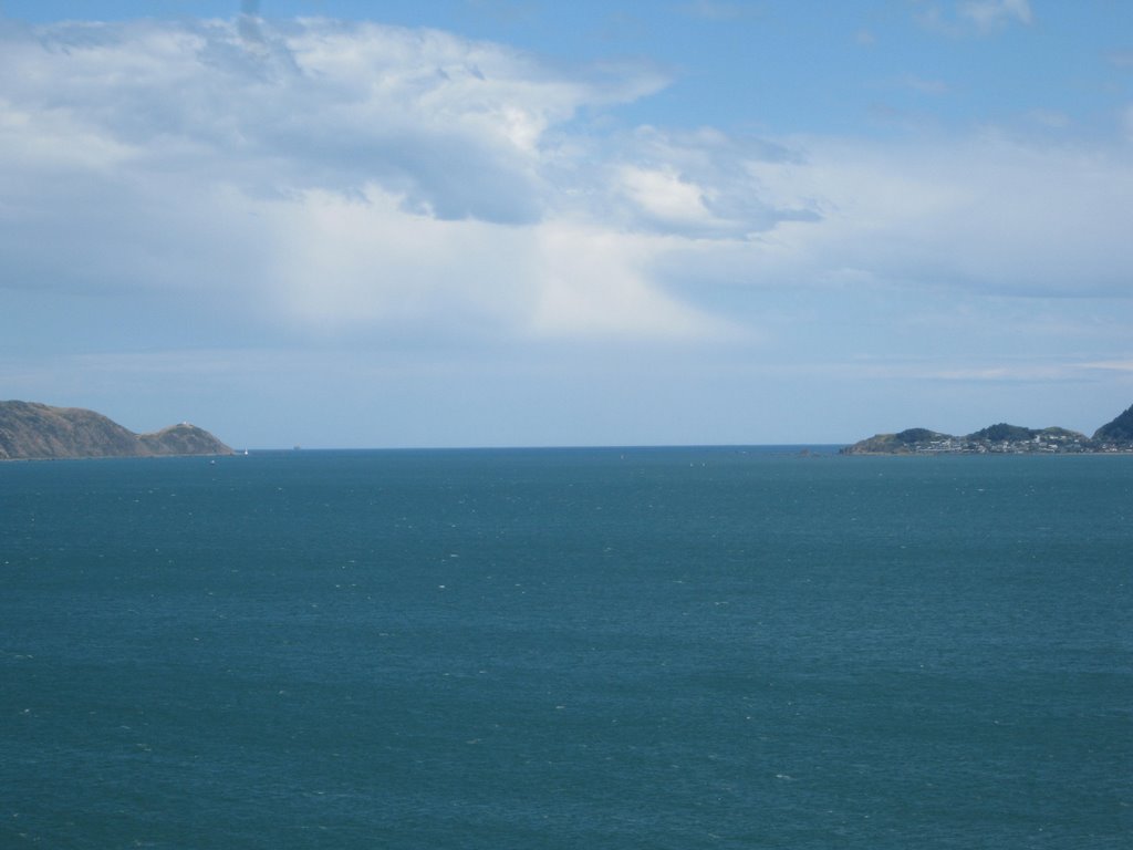 Wellington Harbour Entrance - From Matiu / Somes Island by Supermathu