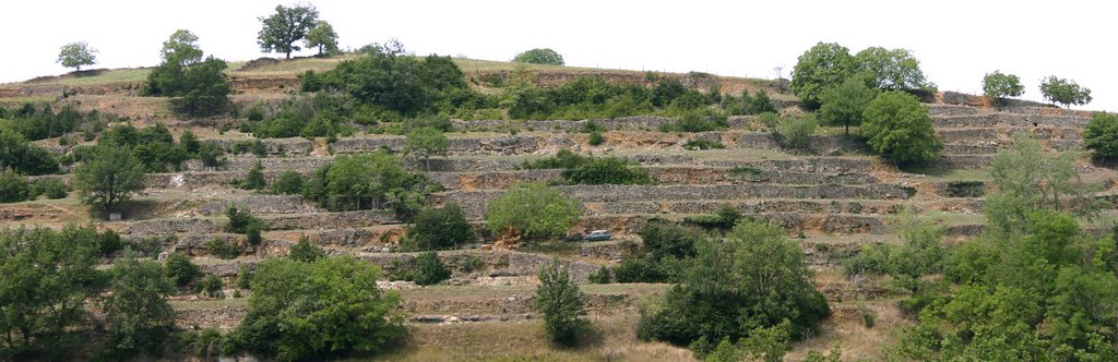 Coubisou - Anciennes terrasses de vignes by CAUE de l'Aveyron