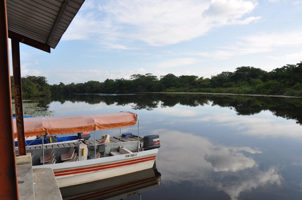 New River, Belize by J. Rivera