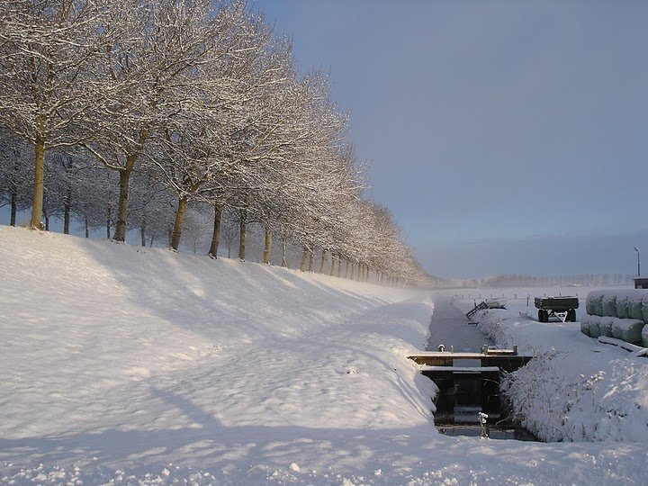 Besneewde bomen langs de N245 by Ivo Kant