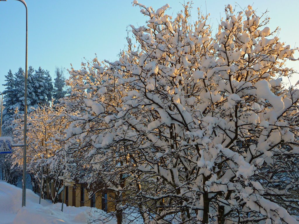 Snowy Peurunka, Laukaa, 8.1.2010, 13:14 by jknaus