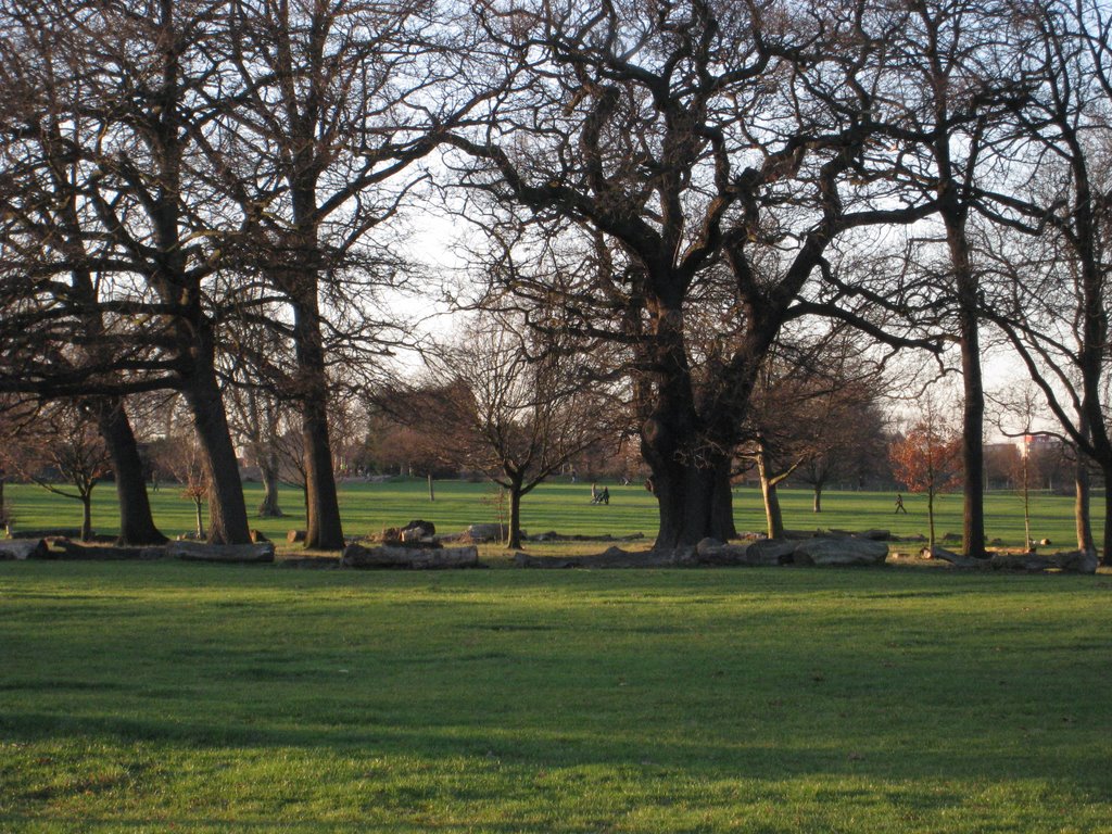 Brockwell Park, London by Robin CH