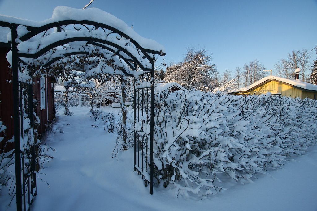 Winter in the colony garden by H.Veijola