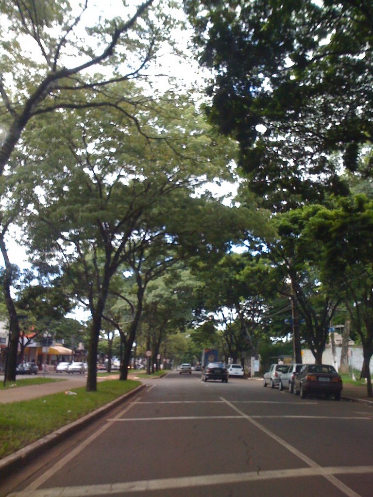 Av. Mandacarú, Maringá, Brasil by Wanderson Rocha