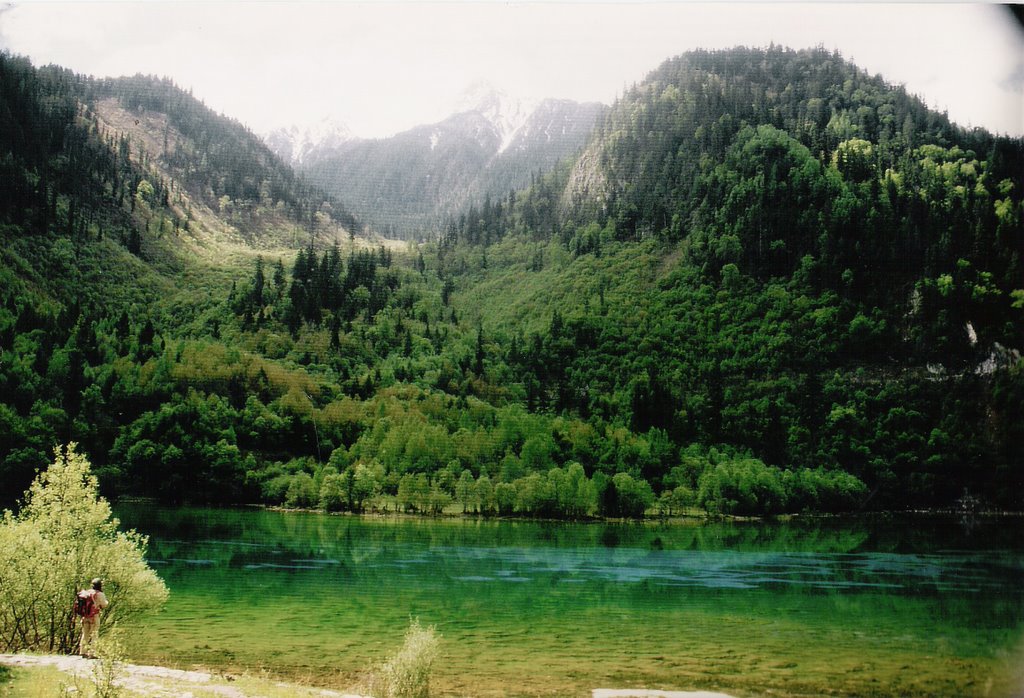 Lake at Jiuzhaigou 1990 by dorothee