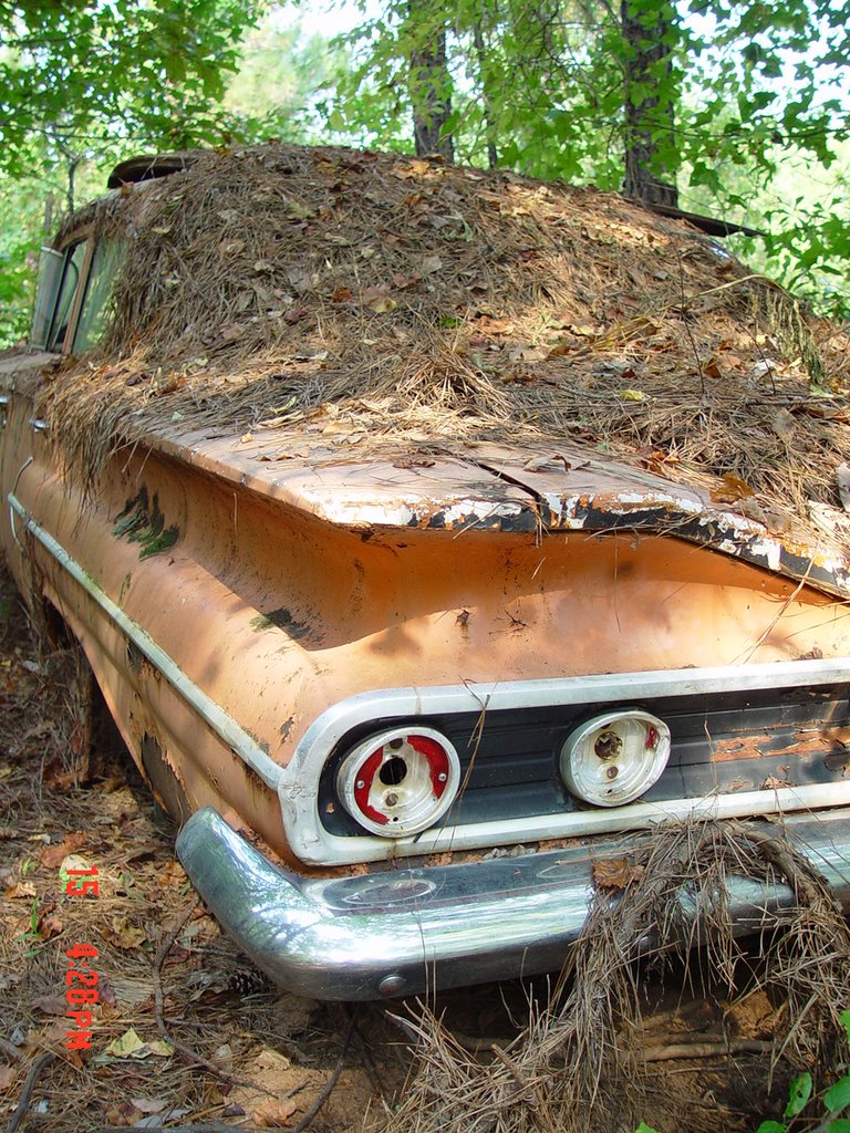 1960 Bel Air, Baker's auto salvage, all crushed in 2006 :( Buttston Ala (9-2005) by Ken Badgley