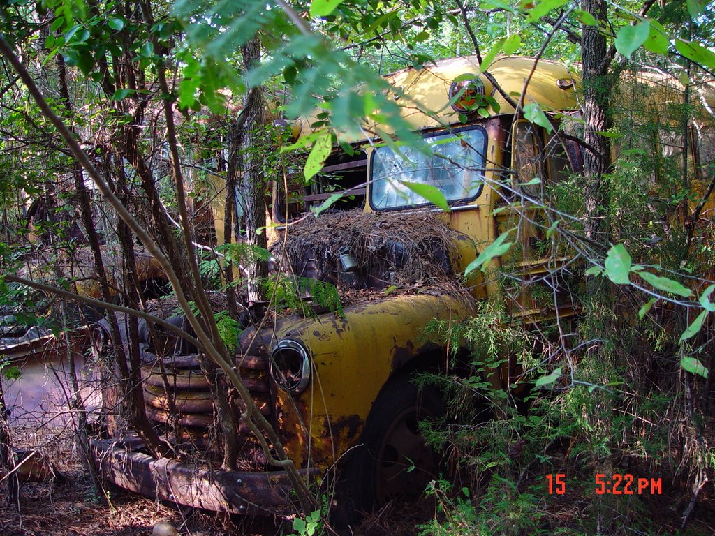 1950s schoolbus full of parts, Baker's auto salvage, all crushed in 2006 :( Buttston Ala (9-2005) by Ken Badgley