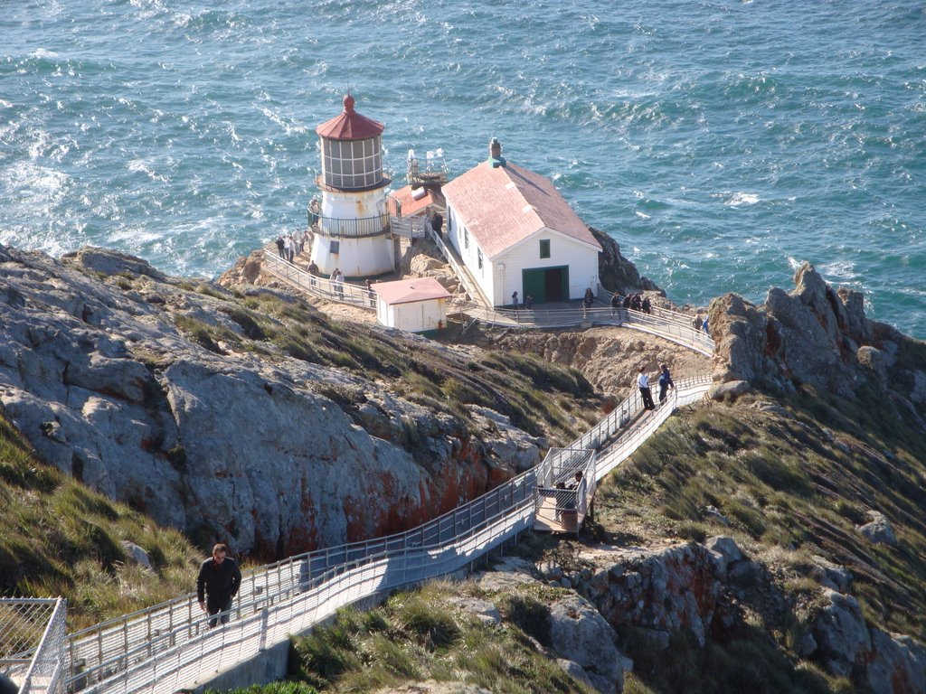 Point Reyes, Inverness - California by Fatima Williamson