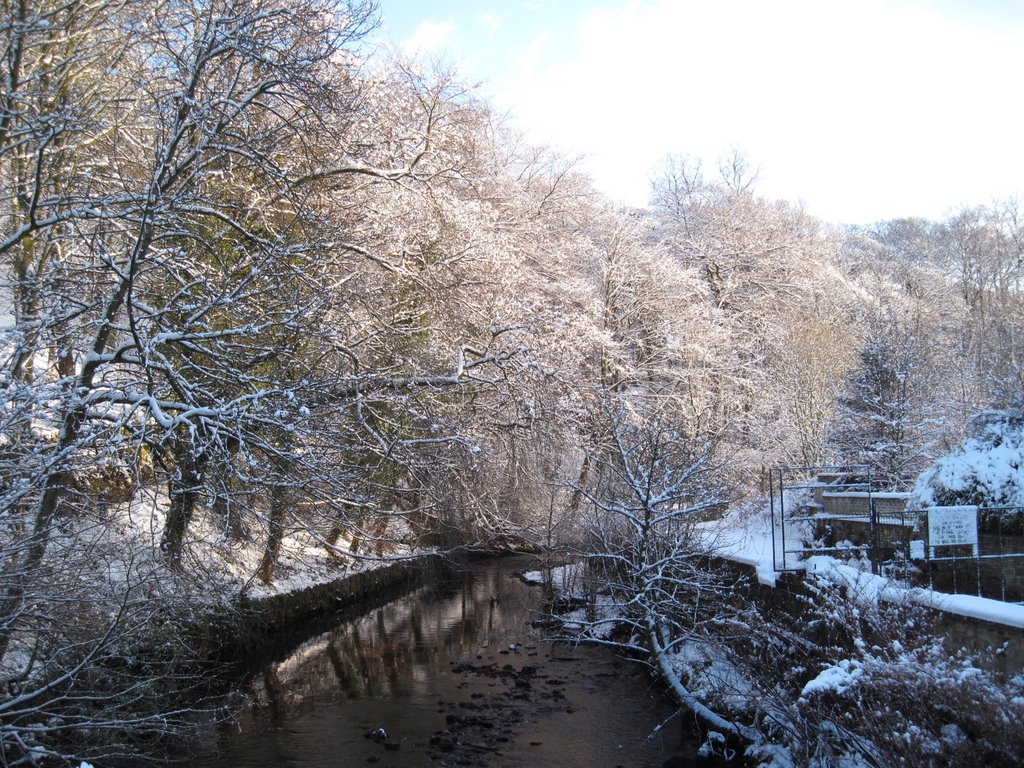 River Ryburn, Triangle by alastairwallace