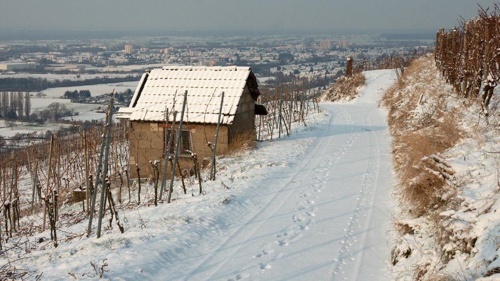 Entlang eines verschneiten Weinberghäuschens nach Bensheim by stollem