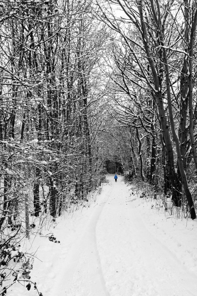 Walking to Prince Albert Drive by jonnyharry