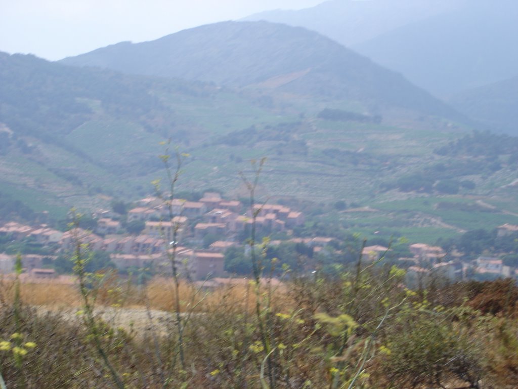 Sight nearby collioure by Davies