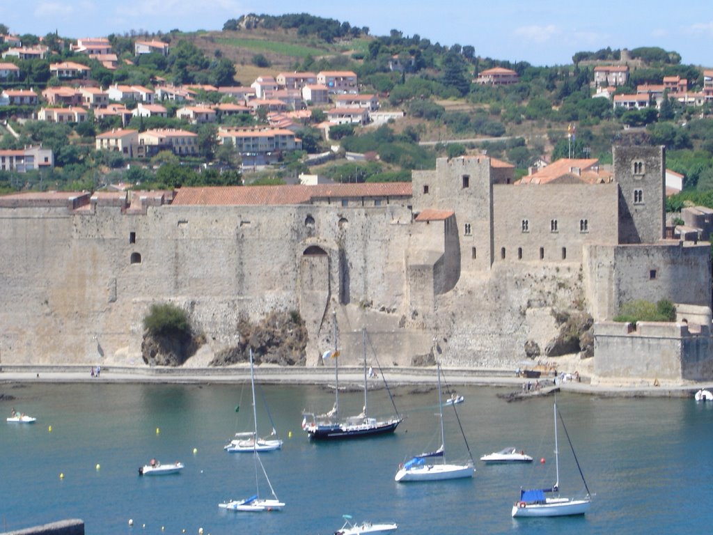 Castel of collioure by Davies