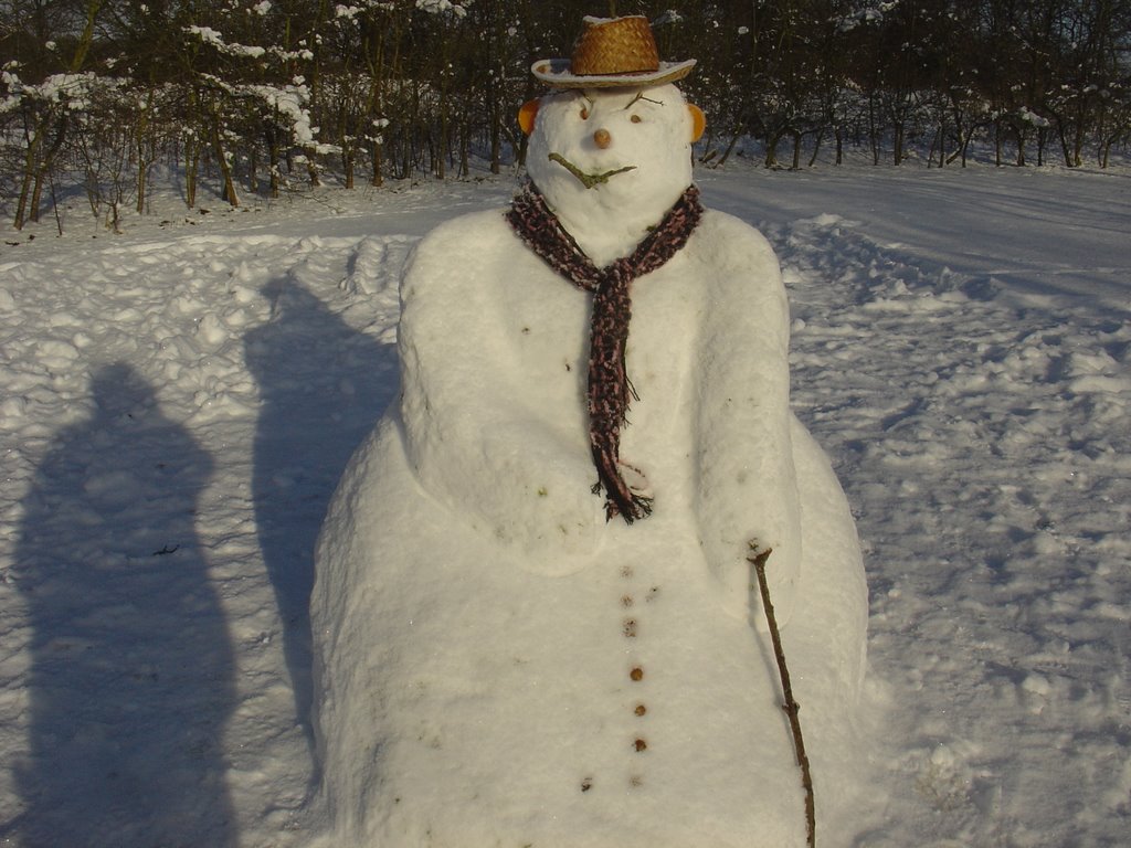 A very good snow man by Paul HART