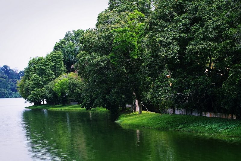 Central Catchment Area (Lê Thạnh Đức) by Lê Thạnh Đức