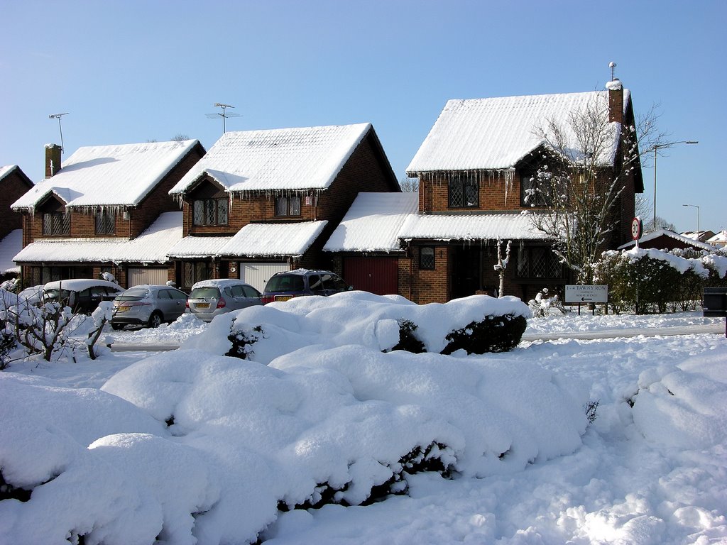 Wintery Houses, Tawny Row, Moray Avenue by DAVID ROBINS