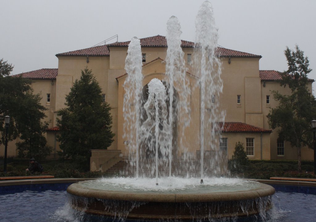 Visitor Center - Stanford by Suresh Krishna