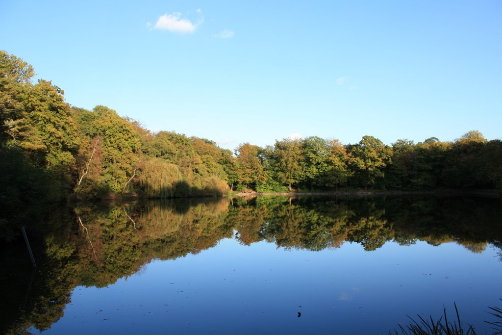 Etang de villebon by avcjoubert