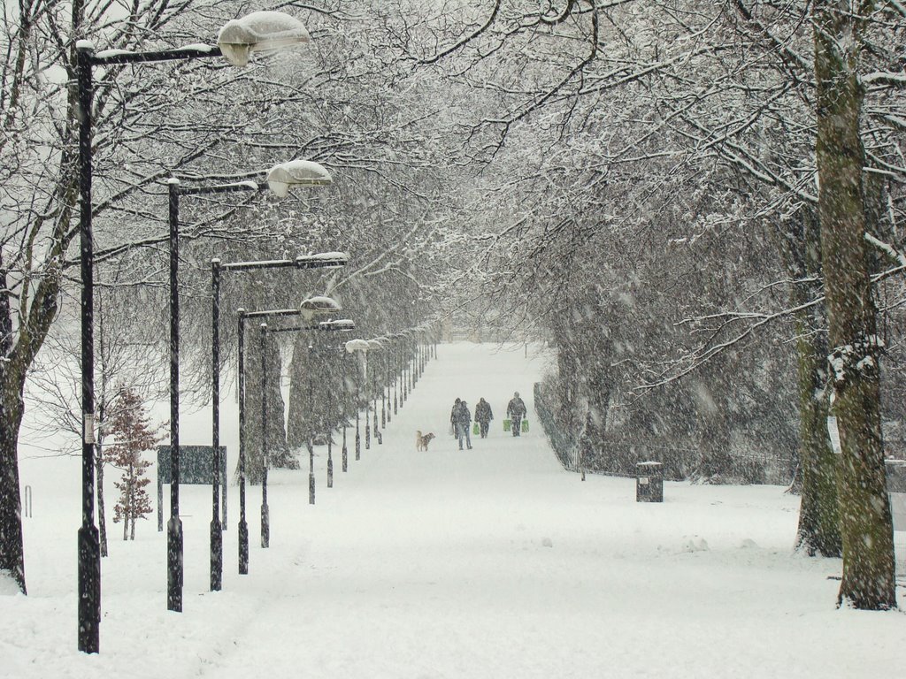 Looking down the main avenue through a snow blizzard, Hillsborough Park, Sheffield S6 by sixxsix