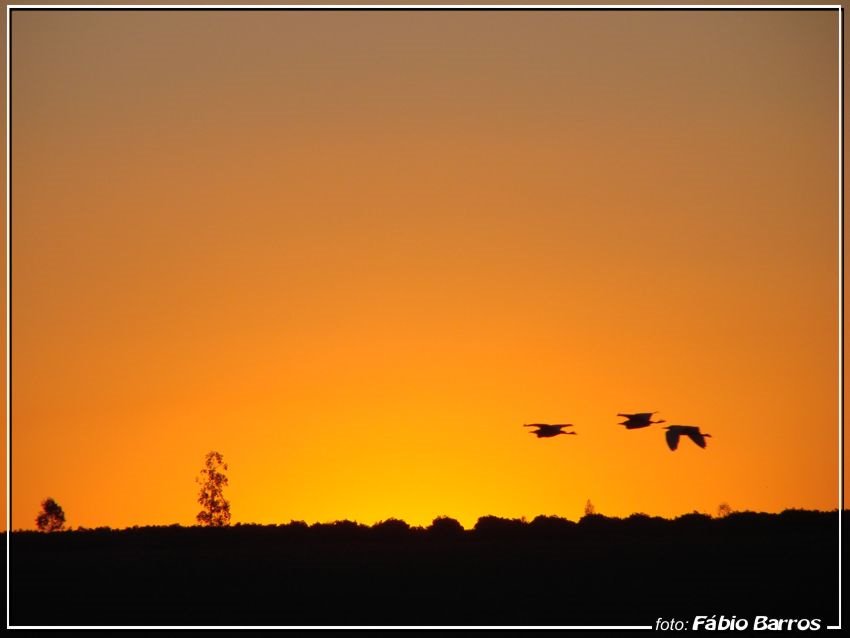 Fim de Tarde em Itapetininga -Foto de Fábio barros (www.cidade3d.uniblog.com.br) by Fábio Barros