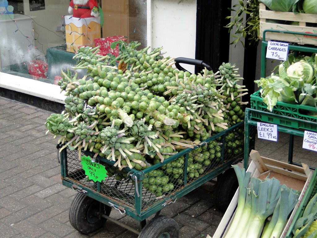 Brussel Sprouts on stalks by MikeWGOODWIN