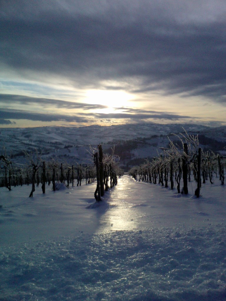 Alba di dicembre a Pietra de' Giorgi, dalla strada di Scagno by GIUSEPPINA MAGGI