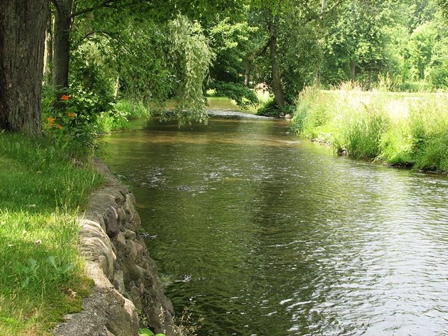 Middle Branch River, Marion, Michigan by purple tramp