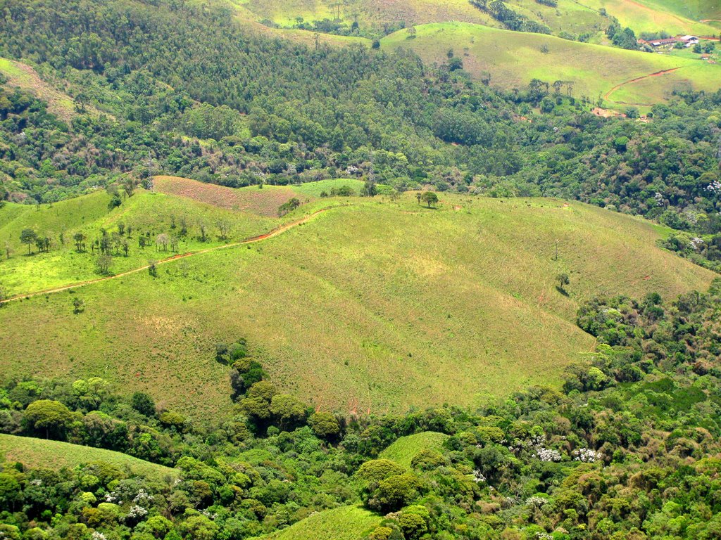 Serra da Mantiqueira, SP, Brasil. by André Bonacin