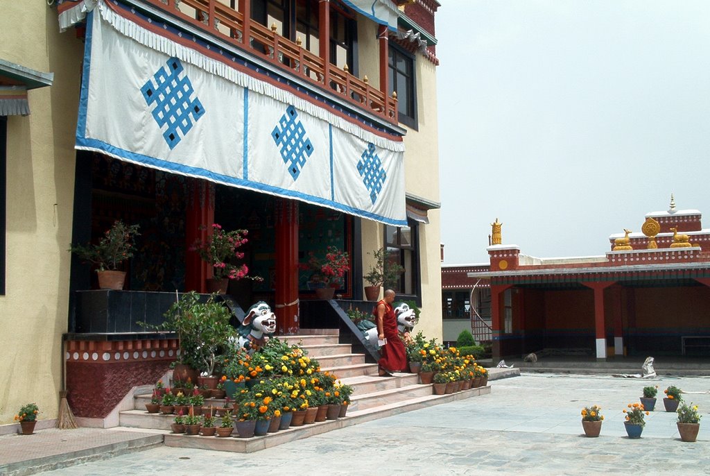 Kopan monastery, Kathmandu by Bob Witlox