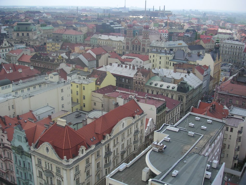 View from the belfry of St. Bartholomew's Cathedral (1) by Colin Pitman