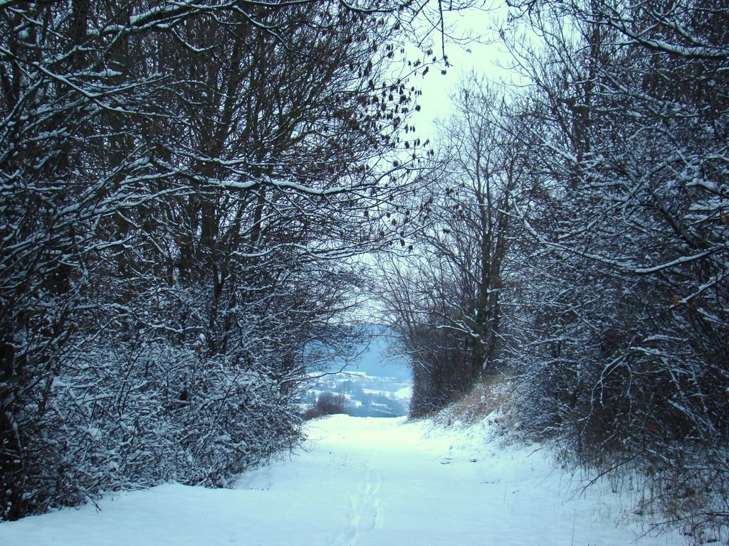 Sentier sous la neige by perequart