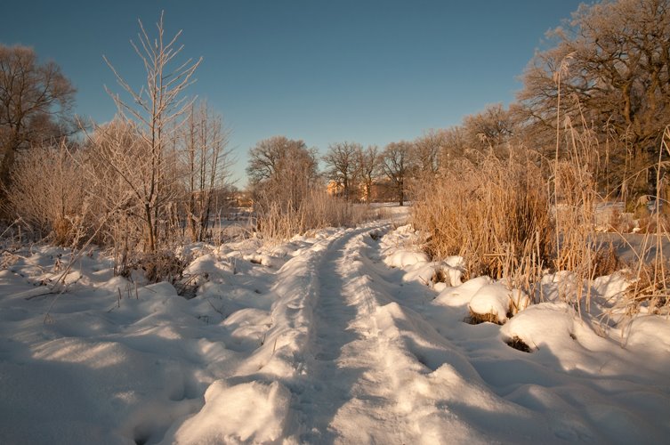 Winter by Per@Flickr