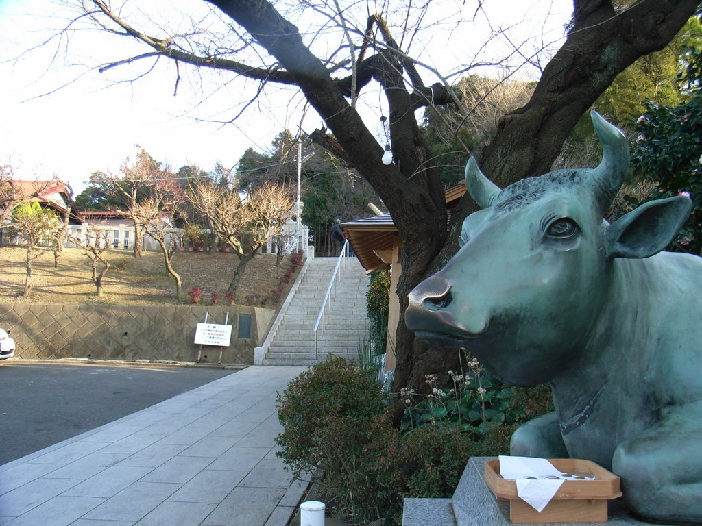 上永谷 永谷天満宮（Nagaya-Tennmanngu shrine) by sekifu