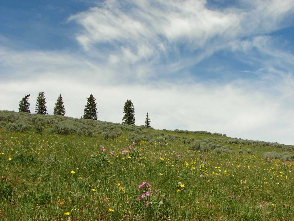 Summer Skyline on the Blacktail by walkaboutwest