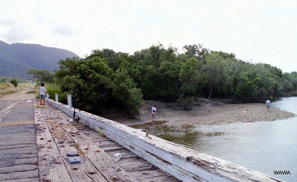 Lure fishing in Mowbray River, about 20km north of Cairns. （ケアンズの北20kmほどのモゥブレイ川での汽水ルアー釣り） by mandegan