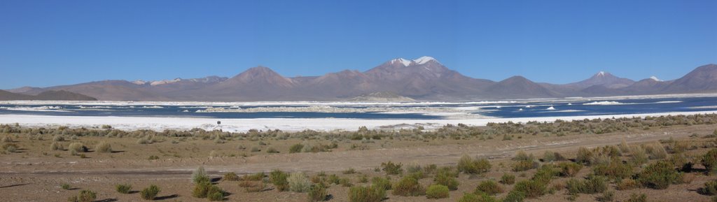 Surire salt lake, Tarapaca, Chile by Albertoiquique