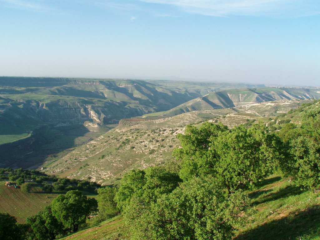 Gollan and River Yarmouk - a scene from Al Isheh(Mohannad Abu Kharma Awadeen) by Mohannad Khurmah