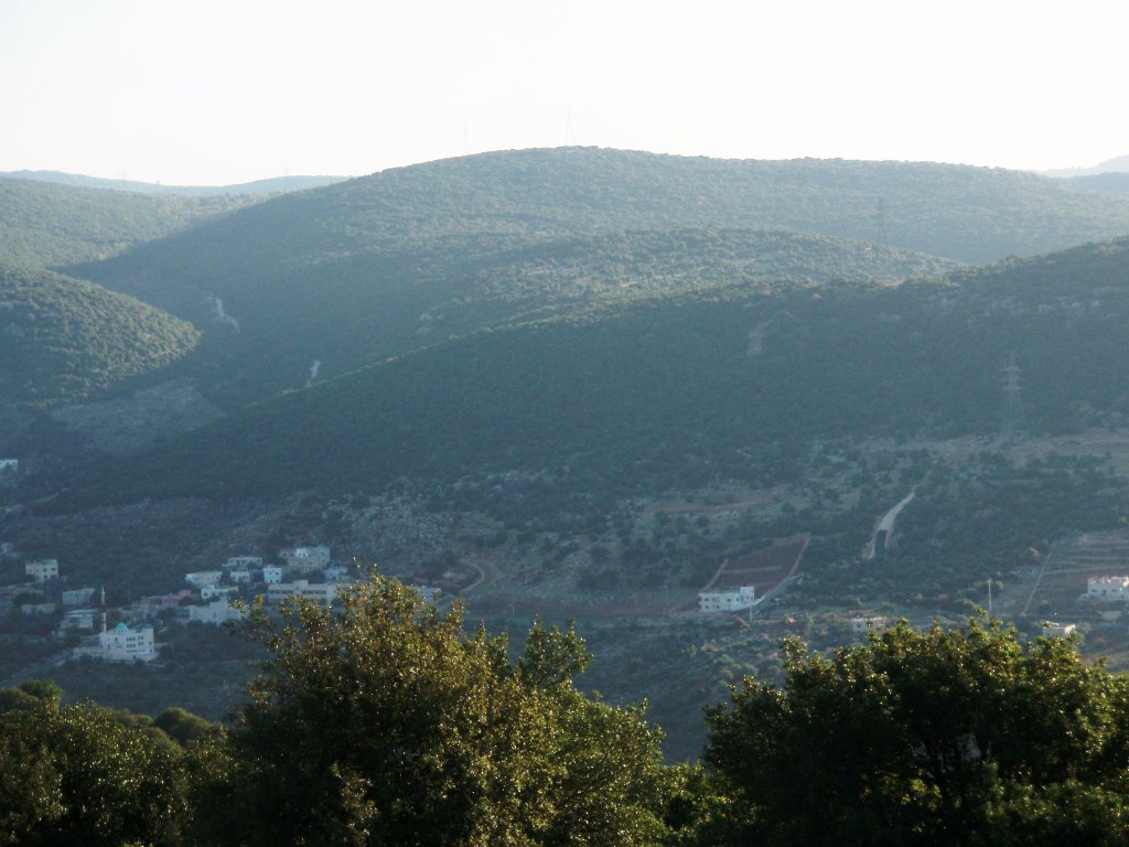 Ajloun - way to Birqish (Mohannad Abu Kharma Awadeen) by Mohannad Khurmah