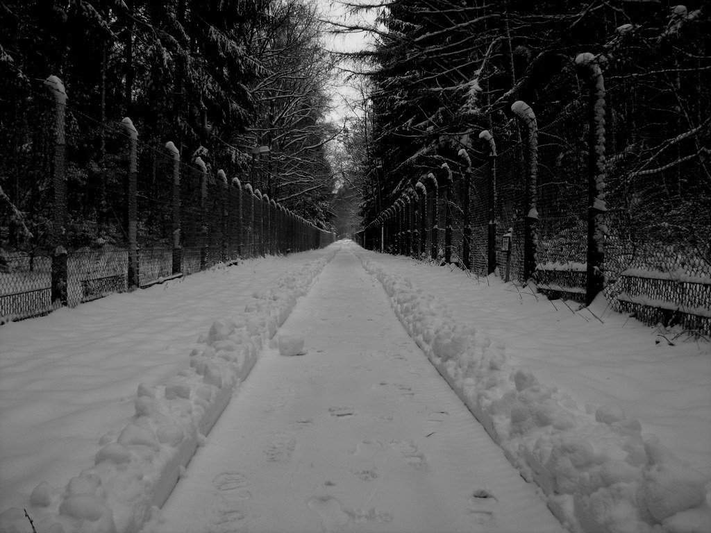 Otto-Hahn Strasse in January 2010 by homayonifar